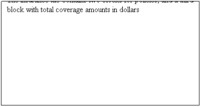 Text Box: The insurance tab contains two blocks for policies, and a third block with total coverage amounts in dollars
